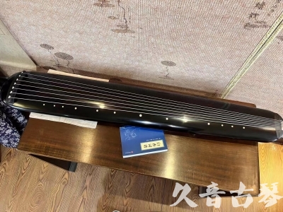 Featured Guqin Today（20240106）- Advanced Boutique Performance Chaos Style