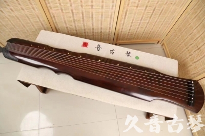 chaoyang - Featured Guqin Today（20240313）- Advanced Performance Fuxi Style