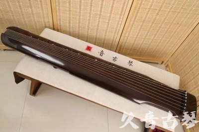puyang - Featured Guqin Today（20240506）- Advanced Performance Zhongni Style