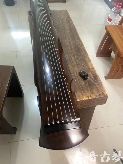 Featured Guqin Today（20240920）- Advanced Performance of Fuxi Style